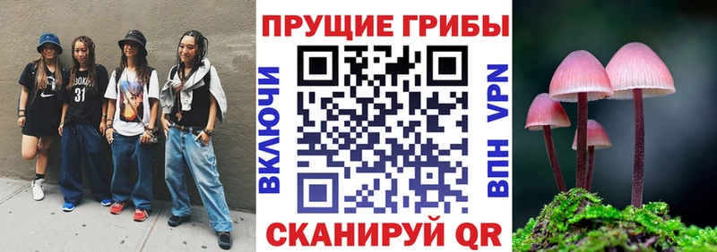 МЕГА зеркало  Апрелевка  Галлюциногенные грибы мухоморы 