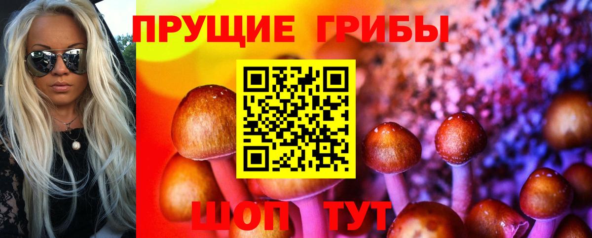 Галлюциногенные грибы Psilocybe  Вход с VPN  наркота  Апрелевка  Галлюциногенные грибы Psilocybe 